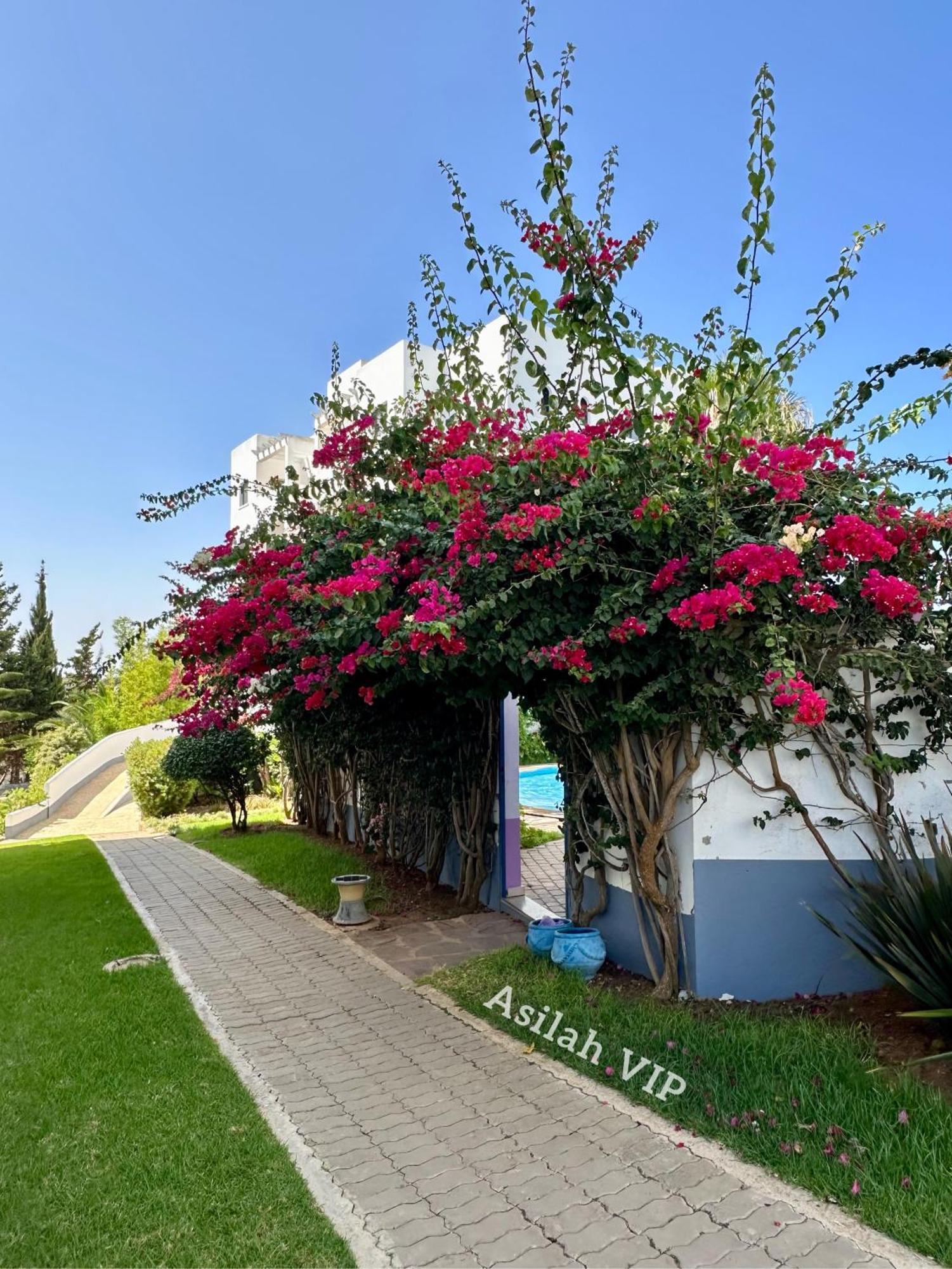 Asilah Vip - Haut Standing - Vue Mer - Piscines - Plage A 5 Minute - Garage Privee - Acces Pmr Exterior foto