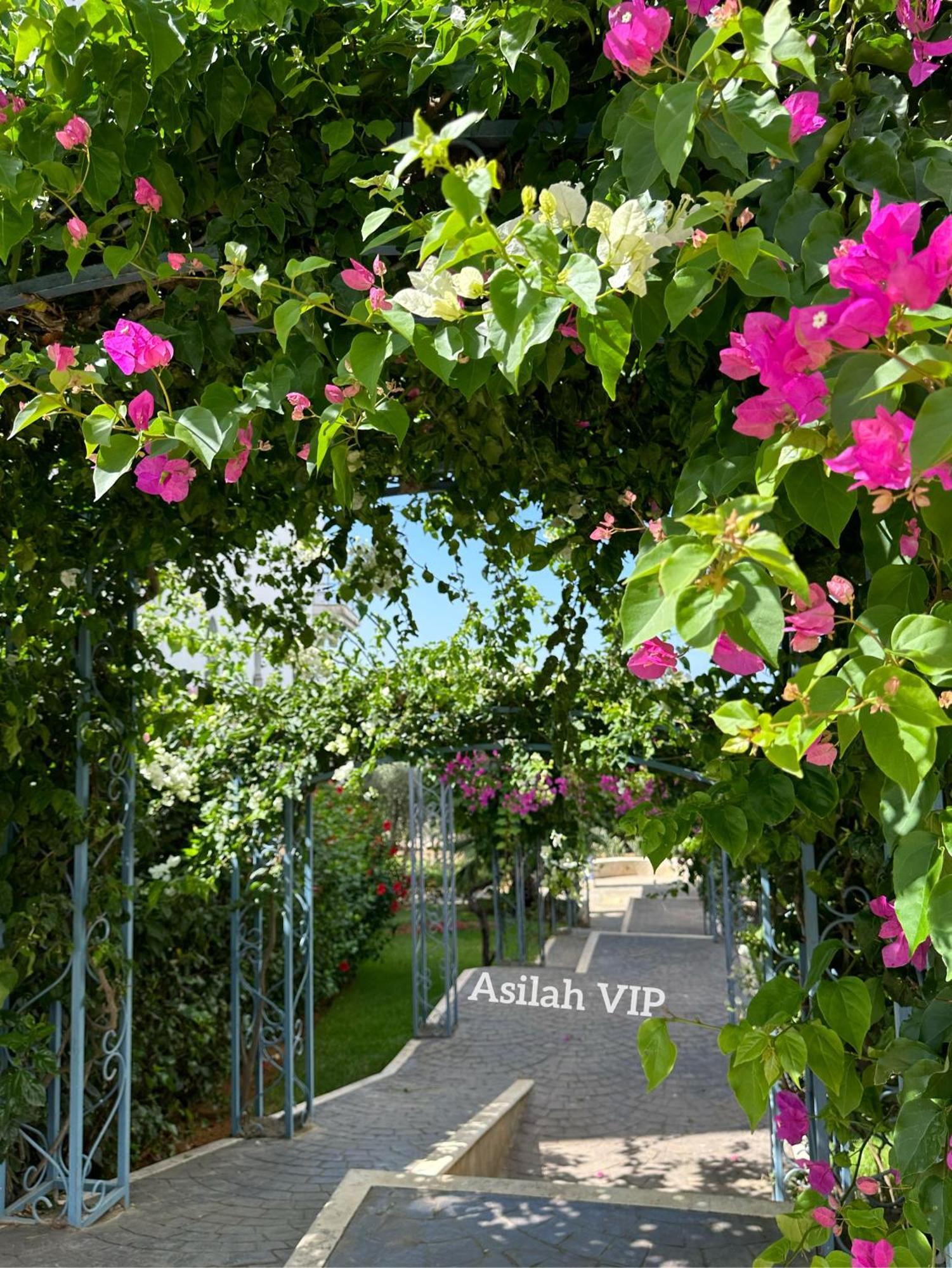 Asilah Vip - Haut Standing - Vue Mer - Piscines - Plage A 5 Minute - Garage Privee - Acces Pmr Exterior foto